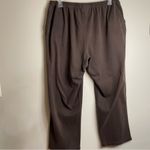 Lands' End Women’s Lands’ End Brown Pants Photo 1