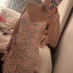 Lilly Pulitzer Lily Pulitzer Lilly Dress Photo 0