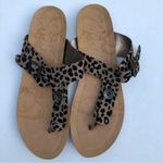 blowfish Malibu Women’s Animal Print Buckle Detail Sandals Sz 8 Photo 1