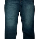 Hudson Jeans  Natalie super skinny‎ Blue Straight Leg Classic Denim Photo 0