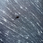 Women's Bella + Canvas Black & White "Dog Mother Wine Lover" Tee 2X Photo 7