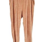 Aerie After Party Velour Jogger Pants Women's XXL Photo 0