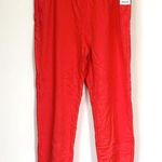 Mate the Label NWT Organic Red Fleece Relaxed Pocket Sweatpants - 1X Photo 2
