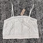 American Eagle NWT  Outfitters Lace Camisole in Cream Photo 0