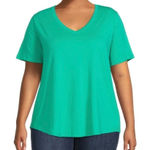 Terra & Sky Green V Neck Short Sleeve Top Size 2X Photo 0