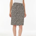 Kasper Size Small Cheetah Print Pull-On Stretch Pencil Skirt. New With Tags. Photo 1