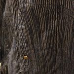 Free People tunic Photo 48