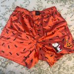 American Eagle Sleep Shorts Photo 0