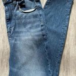 American Eagle Outfitters | Next Level Stretch Denim Skinny Jeans | 6 X-Short Photo 0