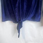 Lavender Field Velvet Vneck Statement Sleeve Blouse Tie Waist Size Medium VTG Photo 4