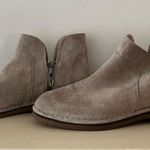 Hush Puppies  Medium Moyen Ankle Boots Suede Leather Photo 1