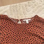 Popsugar  Brown Polka Dot Blouse Photo 1