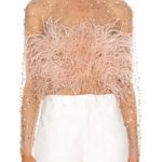 RÊVE RICHE Jasmina Feather Embellished Dusty Rose Sheer Long Sleeve Top Size 42 Pink Photo 0