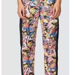 The North Face Women’s Hydrenaline Windfall Pants Lined Floral Print Extra Small Photo 0