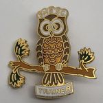 Vtg Girl Scouts SIERRA MADRES COUNCIL Trainer Lapel Pin SMGSC TRAINER Owl Pin Photo 0