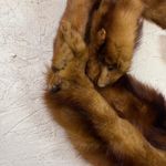 Vintage Brown Mink‎ Fur Collar Wrap Stole Scarf Genuine Real Fur Photo 1