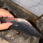 Brahmin Leather Crossbody Bag Photo 8