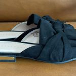 Metaphor Black Mules Photo 0