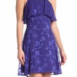 19 Cooper Popover Halter Mini Dress Royal Blue Floral Jacquard Size M NWT Photo 0