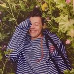 Gildan Harry Styles Pink Graphic Tee Shirt Size Small Photo 1