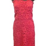 ZARA  Floral Lace Strapless Dress in Pink Size Large Photo 0