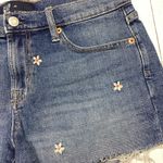 Gap  Denim Embroidered Flower Jean Shorts Size 28 Photo 1