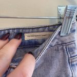 PacSun High Rise Festival Short Size 27 Photo 4