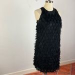 Anthropologie  Roxie Textured Feather Fringe Dress Photo 2