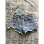 American Eagle  Distressed Floral Embroidered High Rise Denim Mom Shorts Size 00 Photo 1