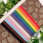 Coach Dempsey Large Phone Wallet In Signature Jacquard With Rainbow CJ660 Photo 7