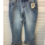 Vintage America Blues Wonderland Ankle Jeans 14P/32 Lush Soft Denim With Gingham Blue Photo 0