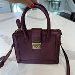 Burgundy Gold Mini Bag with Top Handle and Long Strap Photo 2