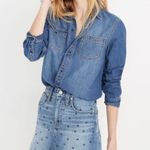 Madewell Skirt Photo 10