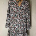 J.Crew Floral Print V- Neck with tie Boho Dress S Prairie Core Granny Coquette Photo 0