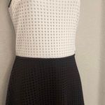 London Times NWT  black & white mesh dress. Sz 4 Photo 3