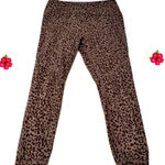 Evolution and creation Women’s leggings - black & gray animal print - XL Photo 0