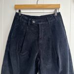 Free People  pants velvet baggy trousers pleated Photo 2