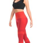 Colombia Y Su Moda Ultra Compression and Abdomen Control Stripped Fit Legging - Style 935 Photo 2