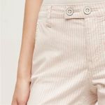 Anthropologie Pilcro and the Letterpress Blush Striped Cropped Pant Size 30 Photo 2