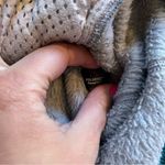 Patagonia  gray with teal detail fleece pullover size medium Photo 4