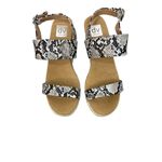 DV Dolce vita snake print espadrille wedges size 10 White Photo 2