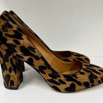 J. McLaughlin Mila Leopard Cow Hair Chunky Block Heels Pumps Round Toe 8.5 Photo 0