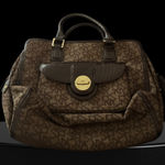 DKNY Brown & Tan Shoulder Bag Photo 0
