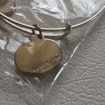 ALEX AND ANI  Color Infusion Pumpkin Spice Charm Bangle, Shiny Silver Finish Photo 2