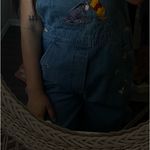 Disney π Vintage Winnie The Pooh & Eeyore Embroidered Overalls Photo 2