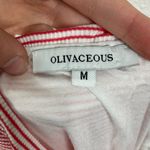 Olivaceous  Snap Front Striped Skirt Size Medium Photo 2