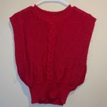 Urban Outfitters sweater vest Photo 0