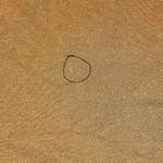 RVCA Women’s Hustle Short Copper - Size Medium Photo 3