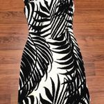 Cache COPY - Black and White Dress, size 2 Photo 4