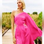 FANM MON Amarya Pink One Shoulder Dress Long Sleeve Cutout Embroidered XS New Photo 4